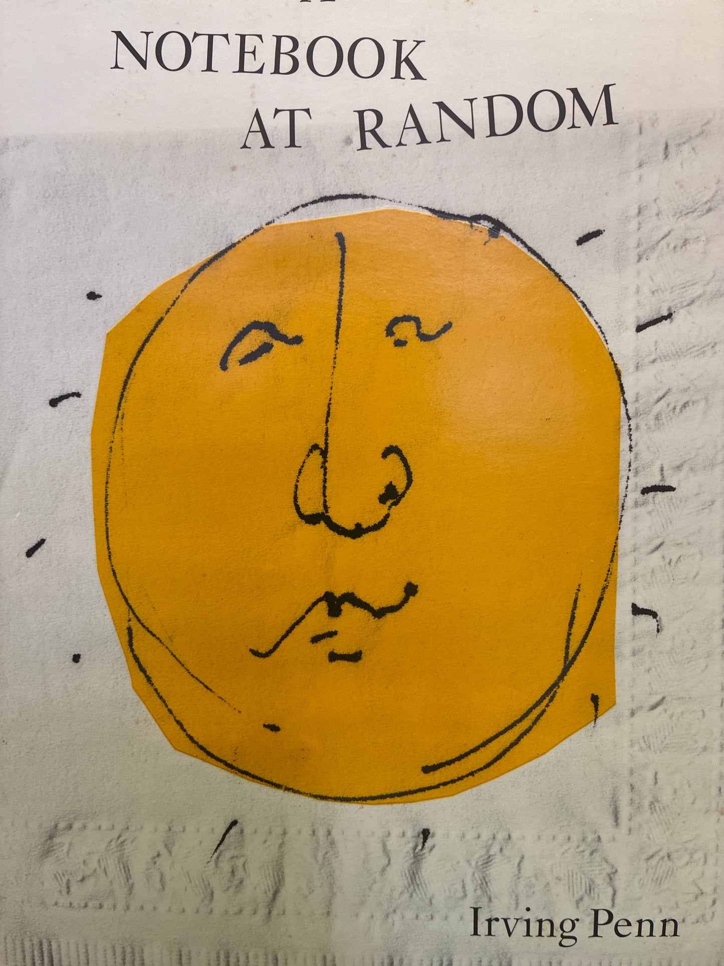 A Notebook At Random Irving Penn