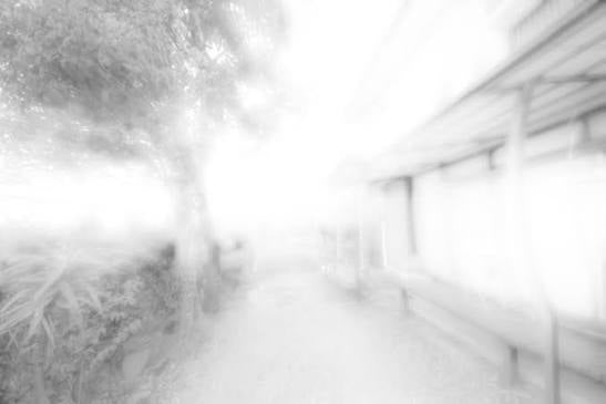 Akihito Yoshida The Dialogue Of Two