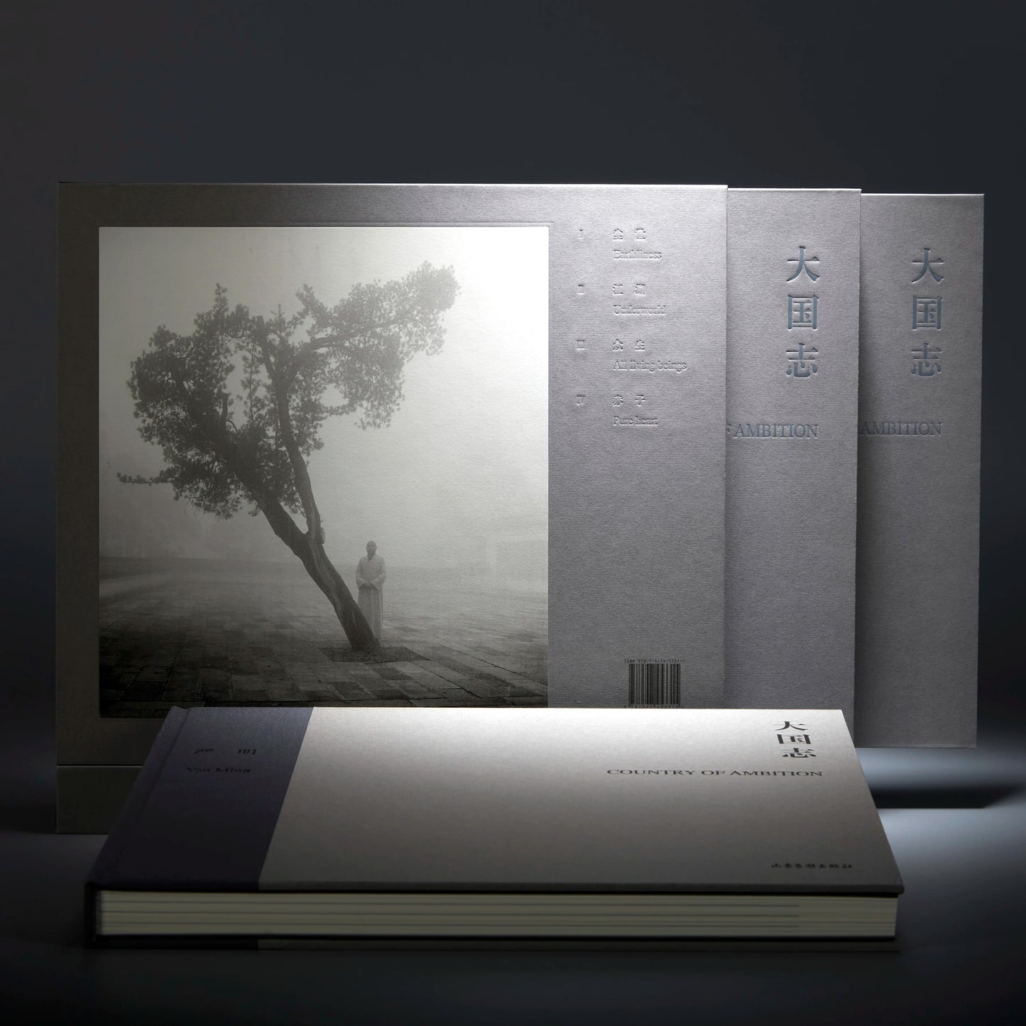 嚴明-大國志 Yan Ming Country Of Ambition (簽名版)