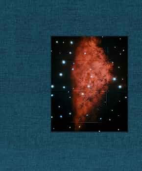 Gregory Halpern King,Queen,Knave
