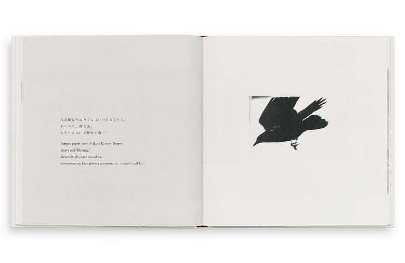 深瀬昌久 Masahisa Fukase 洋子 Yoko