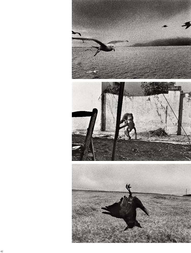 Josef Koudelka The Making Of Exiles
