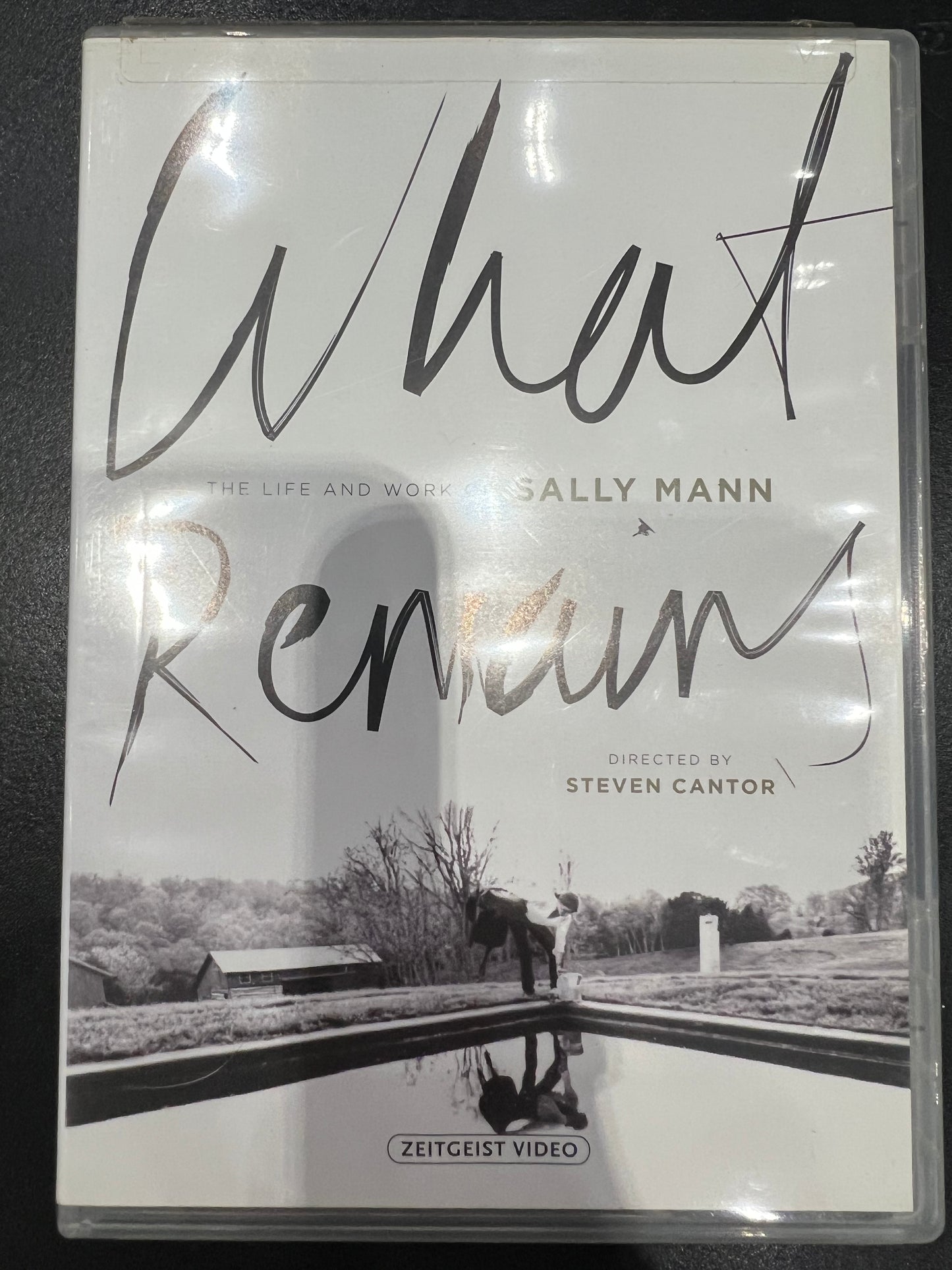 What Remains DVD