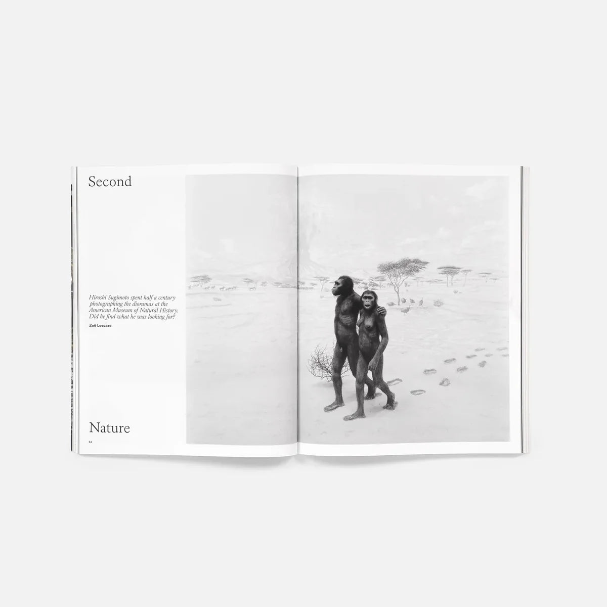 Aperture Magazine no. 264: Stop Time - Guest Edited by Hiroshi Sugimoto (Fall 2026)