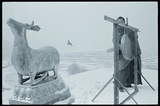 楊延康 (Yang Yankang)作品 - 19神鹿、飞鸟与打锣的僧人 青海2012