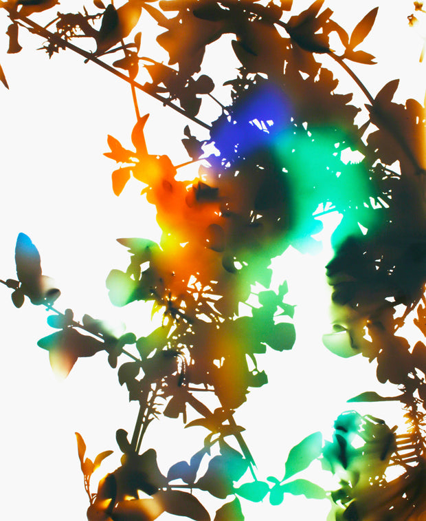 James Welling Monograph