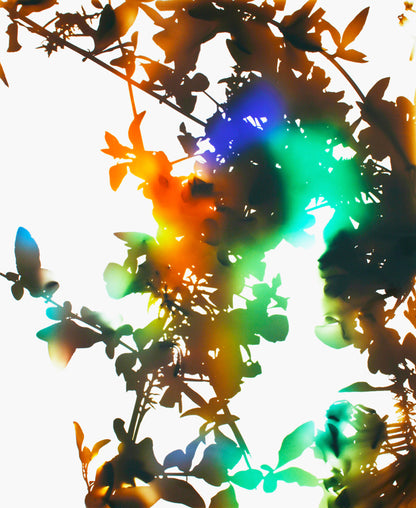 James Welling Monograph