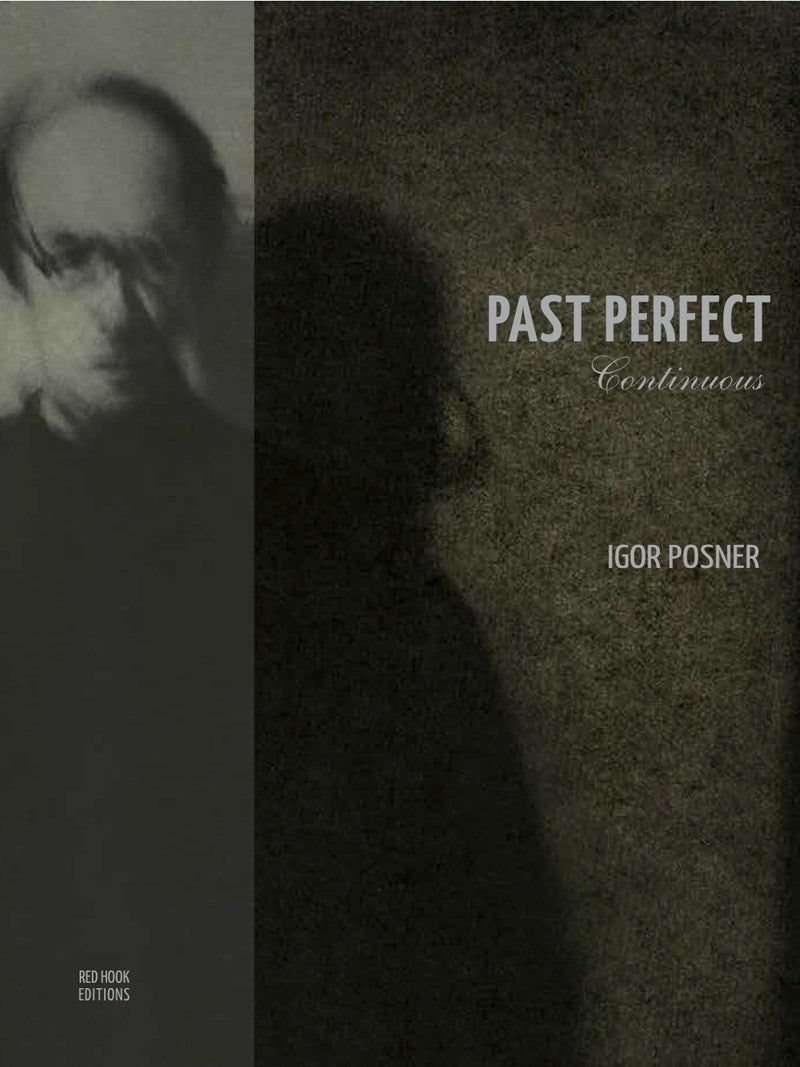 Igor Posner - Past Perfect Continuous