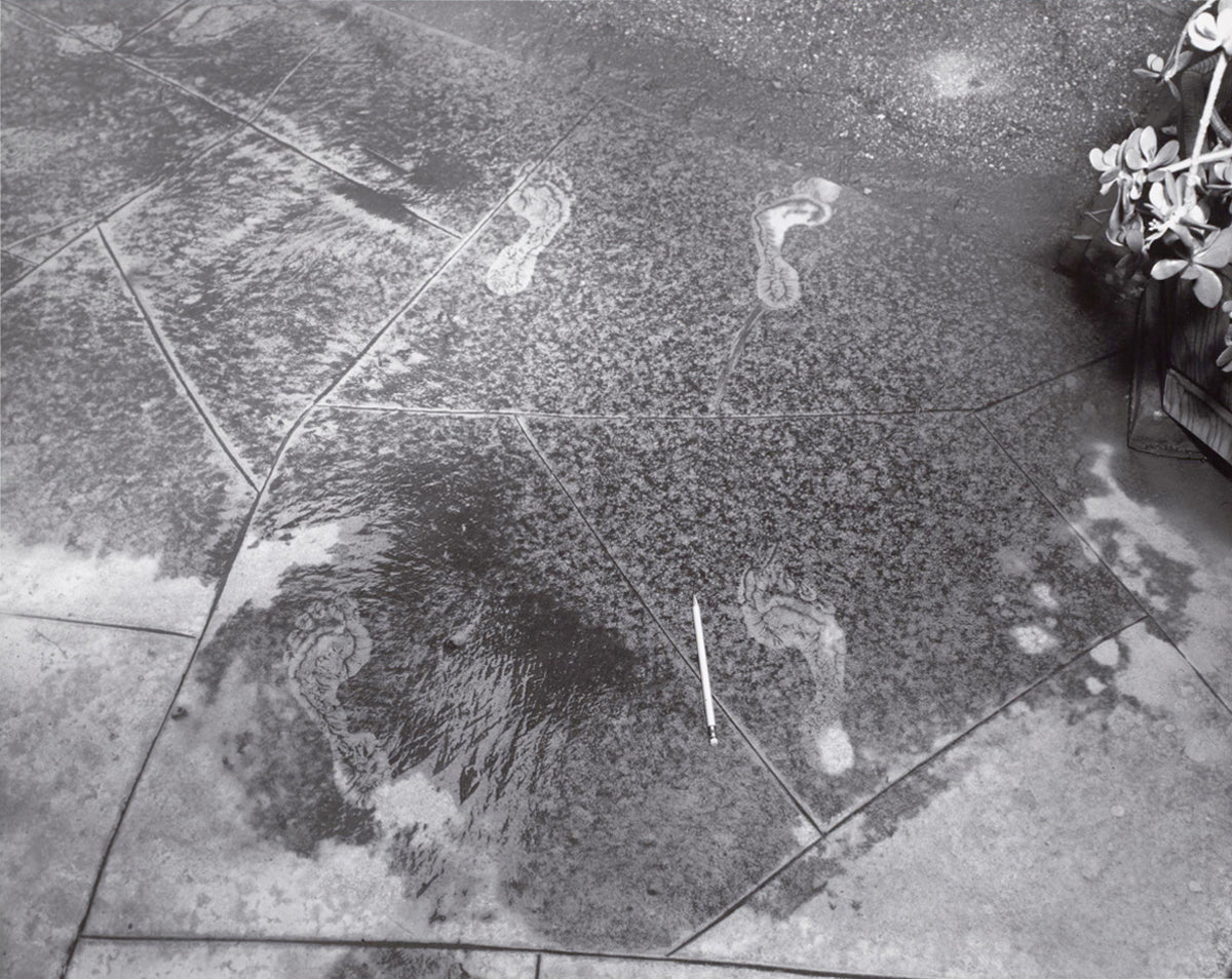Evidence by Larry Sultan and Mike Mandel