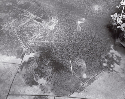 Evidence by Larry Sultan and Mike Mandel