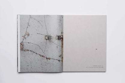 Light Unhealed  by Kim Eun Ju 金恩周
