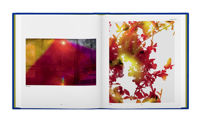 James Welling Monograph