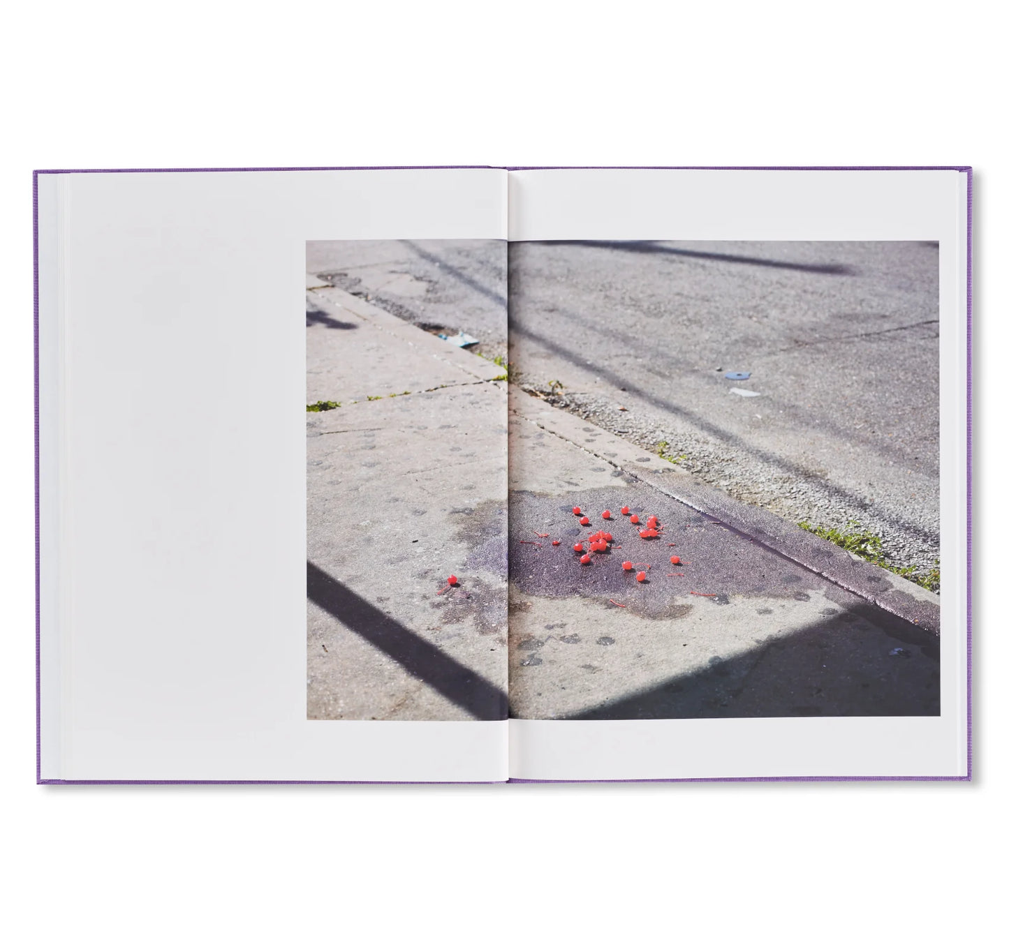 Paul Graham  A Shimmer Of Possibility