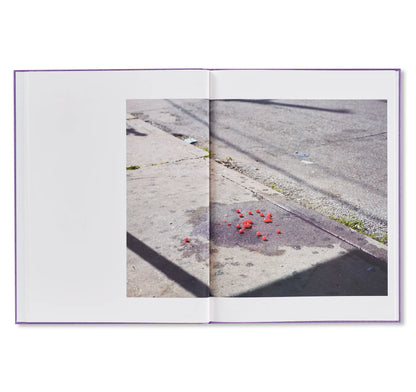 Paul Graham  A Shimmer Of Possibility