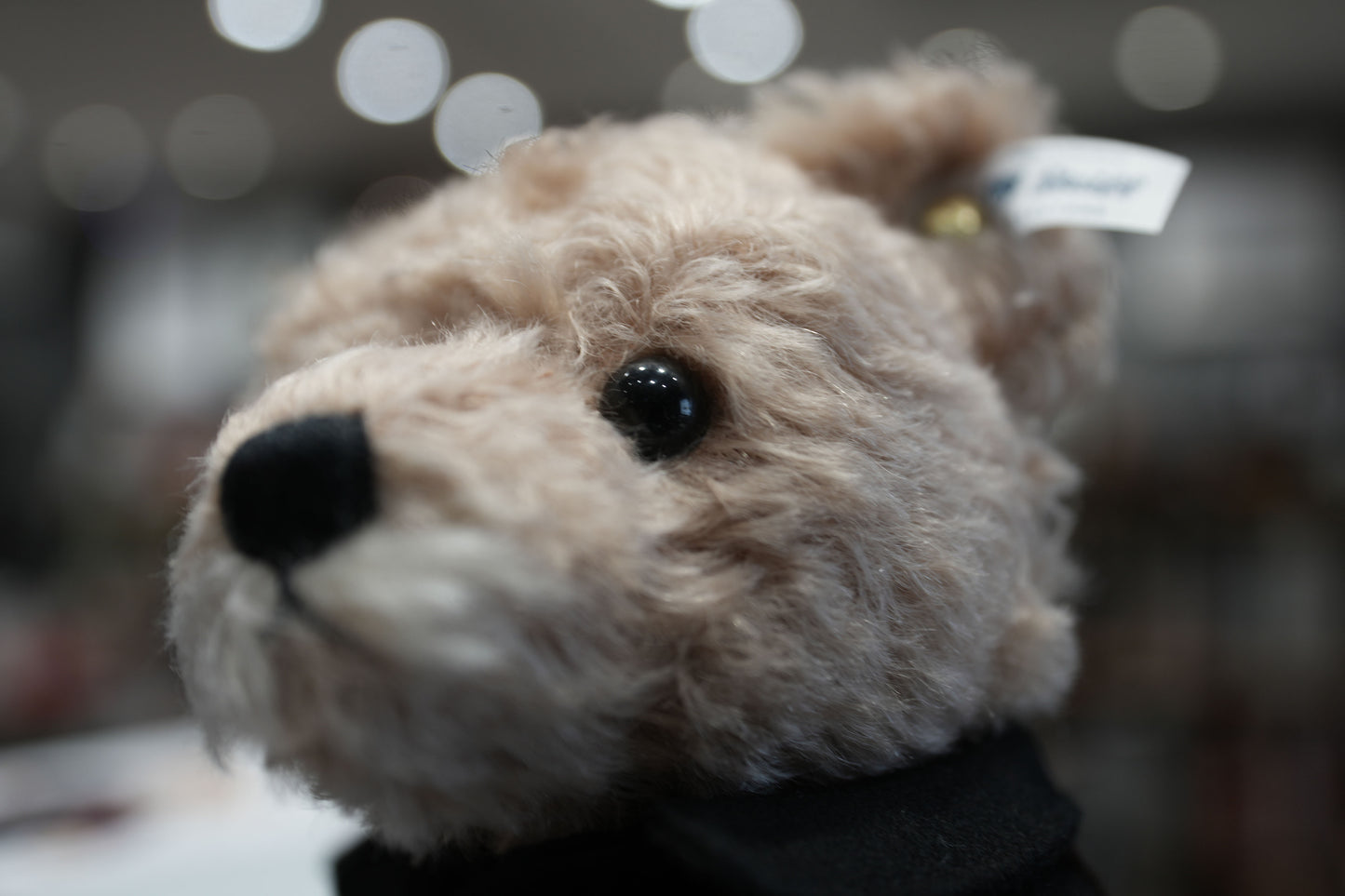 Leica Collector’s Bear Ernst
