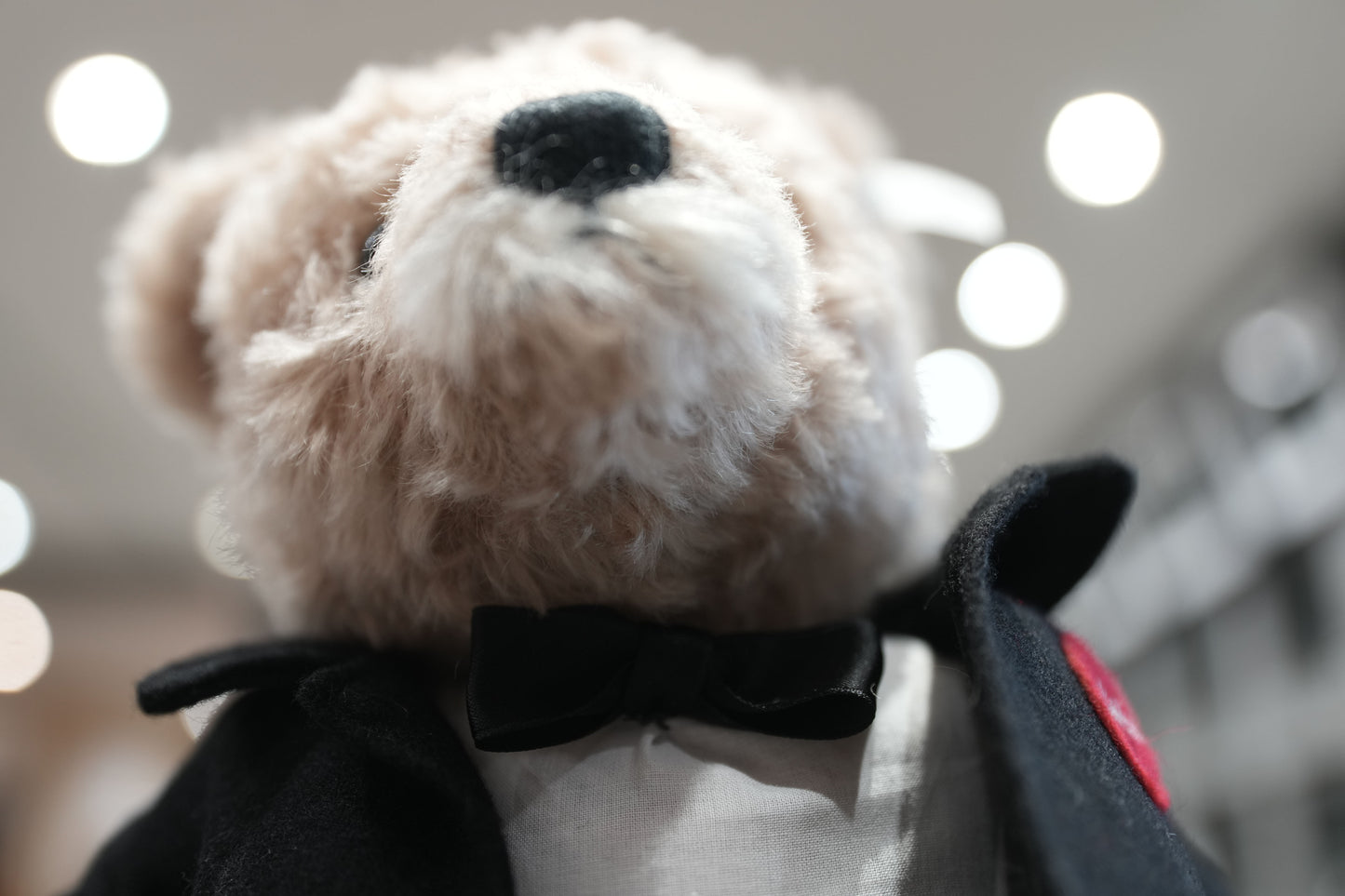 Leica Collector’s Bear Ernst