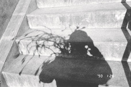 荒木經惟 感傷之旅  1971-2017 - Nobuyoshi Araki Sentimental Journey 1971-2017- Photobook