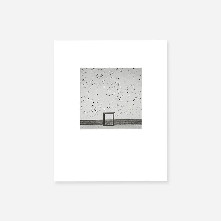 Ueda Shoji Fine Selection “Gone Are The Days” Collotype Portfolio