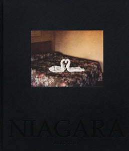 Alec Soth Niagara(Signed)