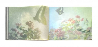 Mino Kajioka So It Goes,So It Goes,So It Goes (The ‘M’ Editions)Ibasho