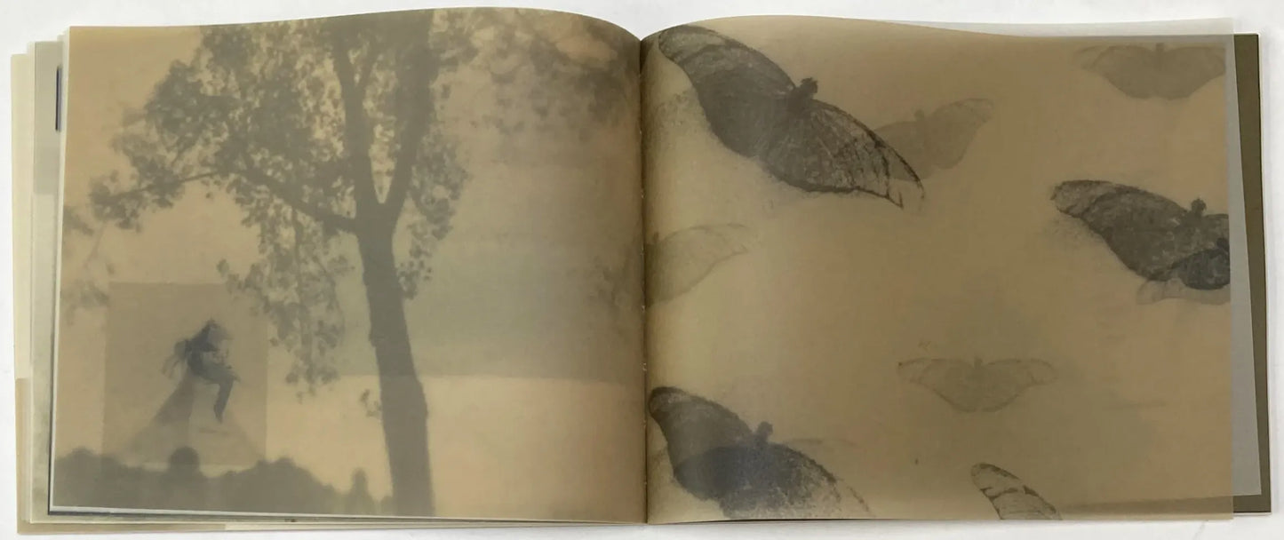Mino Kajioka So It Goes,So It Goes,So It Goes (The ‘M’ Editions)Ibasho
