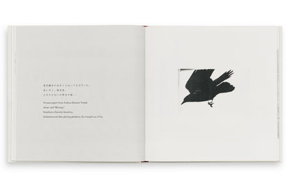 深瀬昌久 Masahisa Fukase 洋子 Yoko
