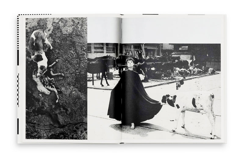 深瀬昌久 Masahisa Fukase 遊戲 Homo Ludens