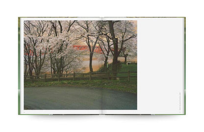 Toshio Shibata: Japan