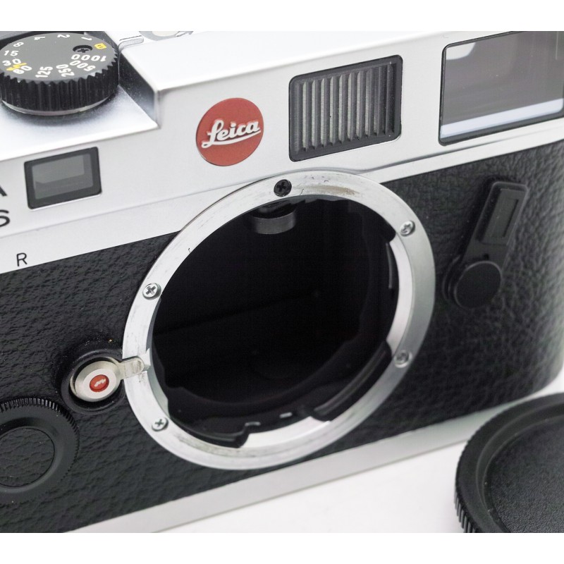 Leica M6 Classic 0.72 Panda - meteor