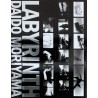 森山大道 Daido Moriyama LABYRINTH